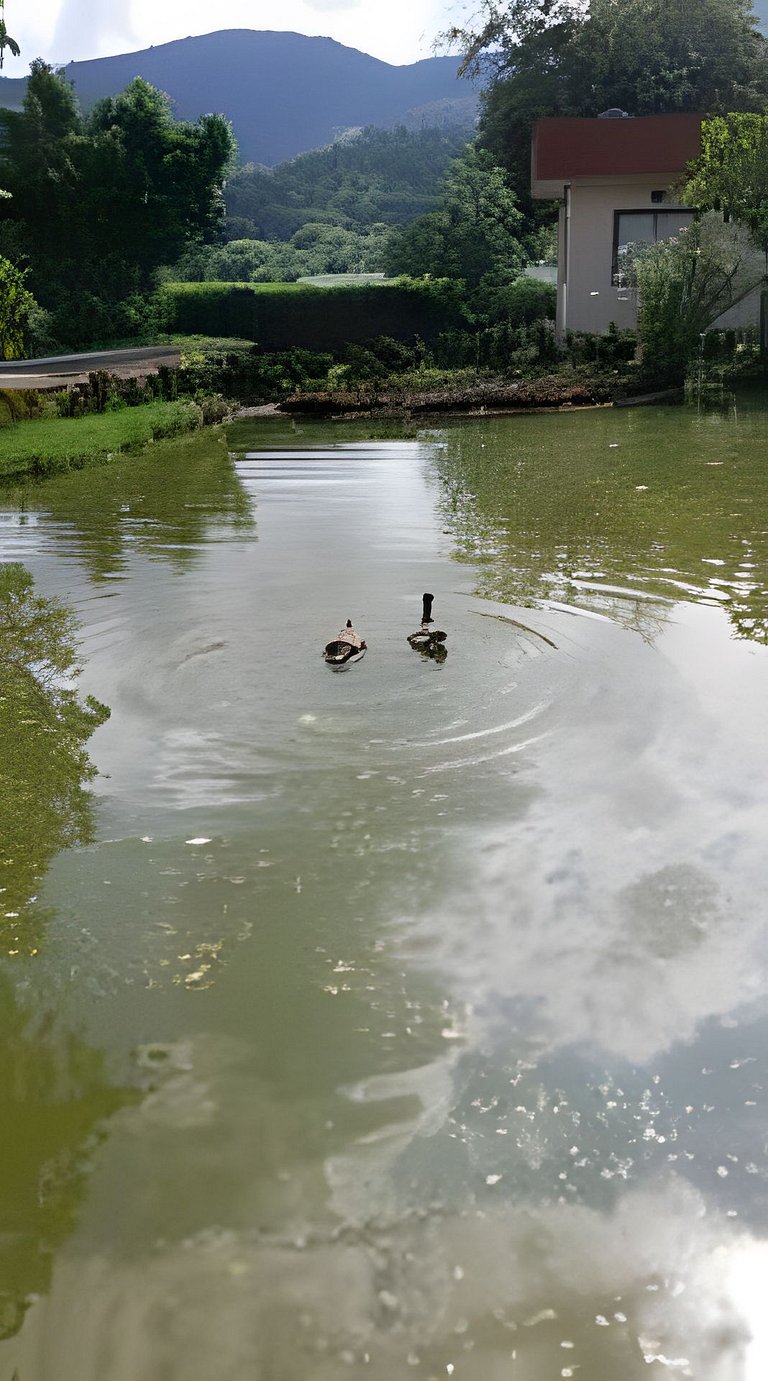 Descanso total en el mejor clima de Colombia